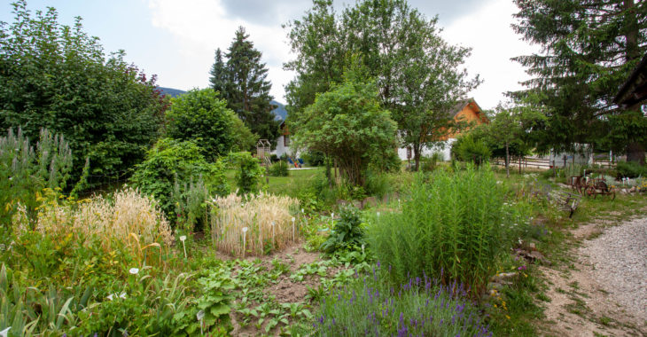 banneret-wisard-jardin-potager